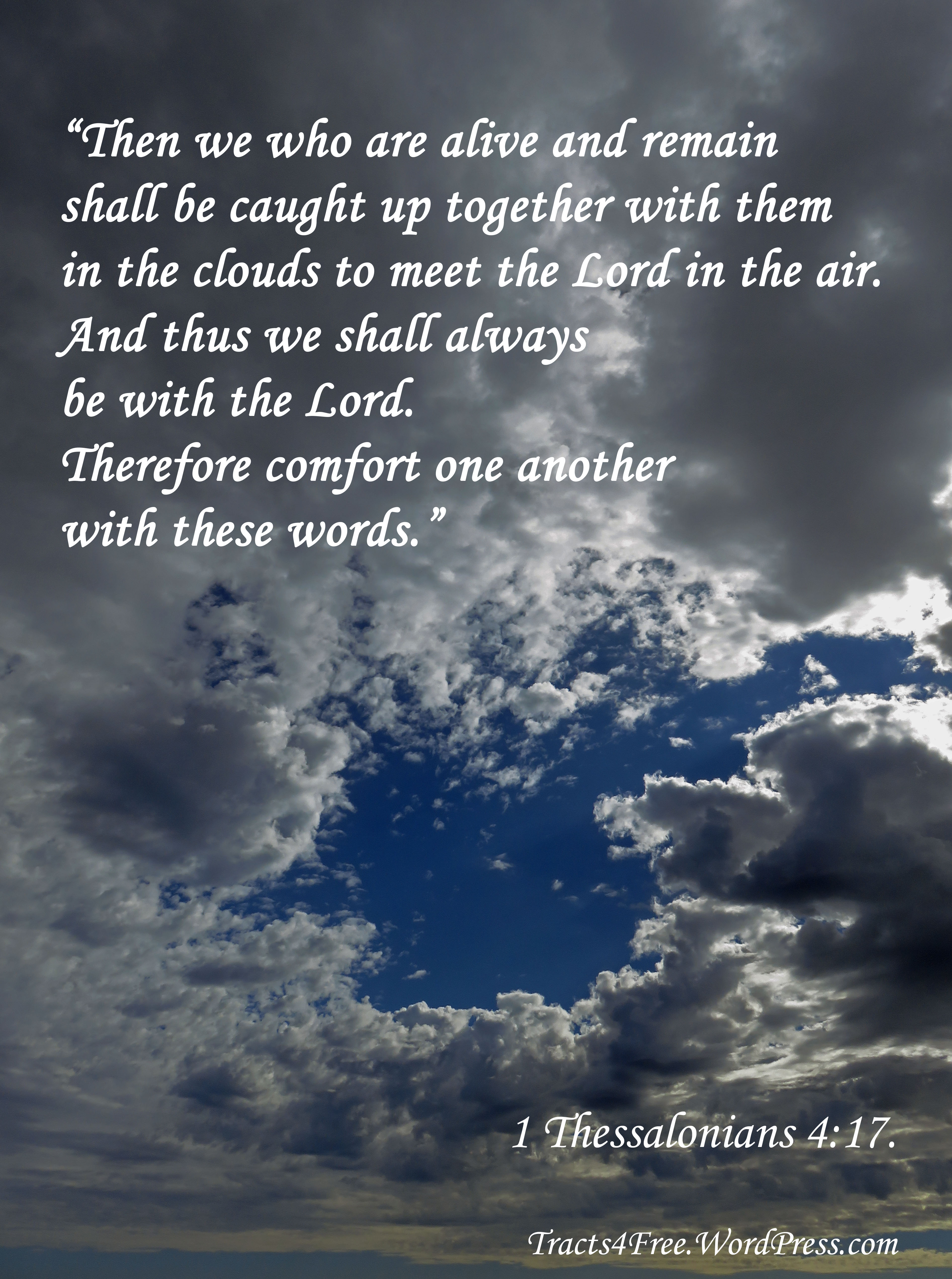 Rapture Poster. Photo and poster by david Clode.